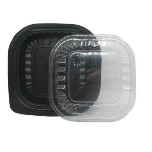 Hộp HT12 đế đen nắp trong